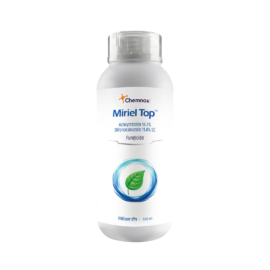 Miriel Top Azoxystrobin 18.2% + Difenoconazole 11.4% SC